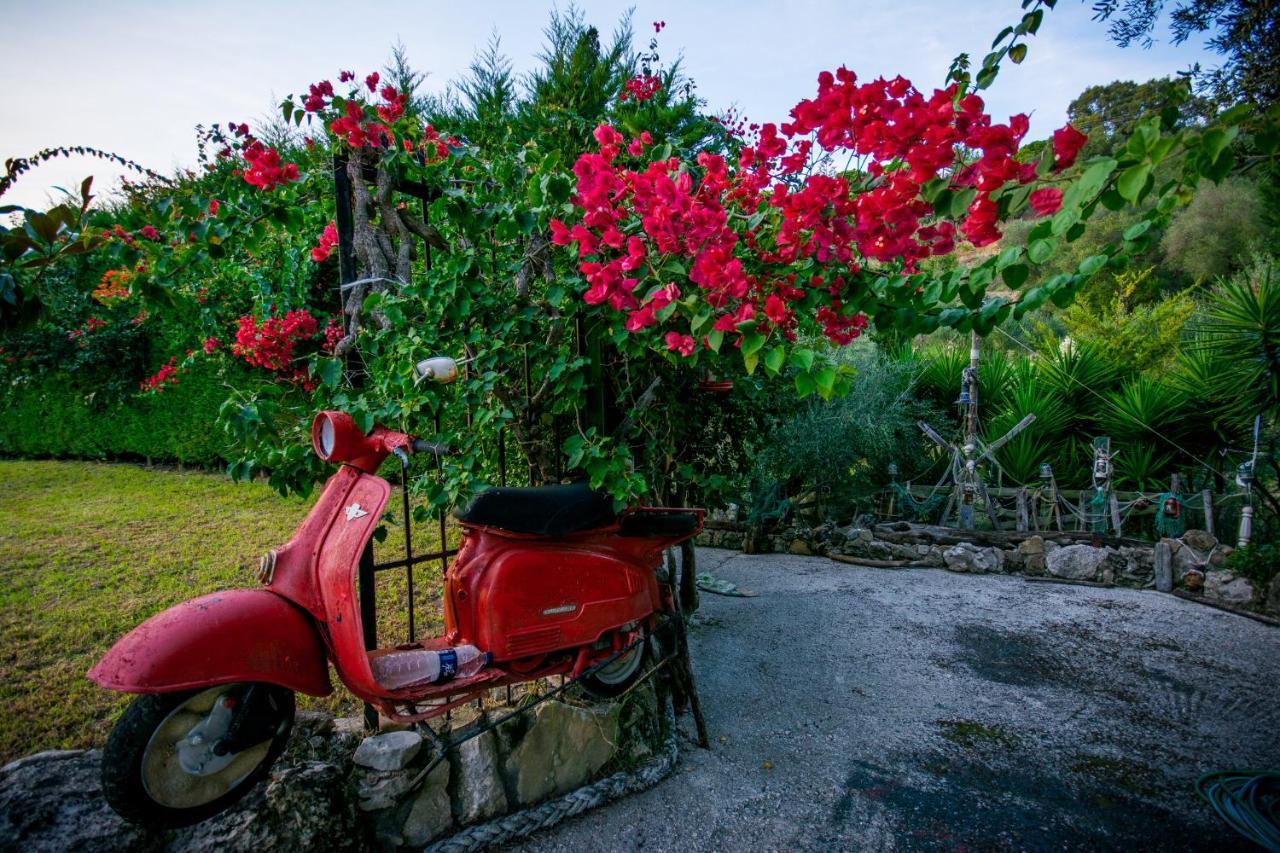 Tatiana Luxury With Private Pool By Gigi Star Zante